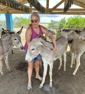 Me petting a rescued donkey at the Sanctuary in Bonaire. 